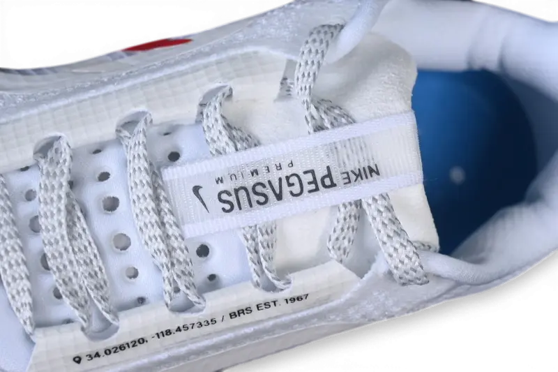 Nike Pegasus Premium – Forrest Gump | Special Edition ZoomX + Air Zoom Daily Trainer