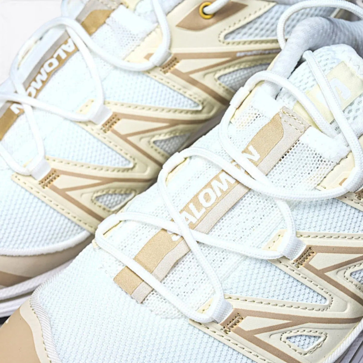 Salomon XT-6 Expanse – White / Bleached Sand / Dusky Orchid | EnergyCell EndoFit sensiFIT Mud Contagrip Artisan Gorpcore Trail Sneaker